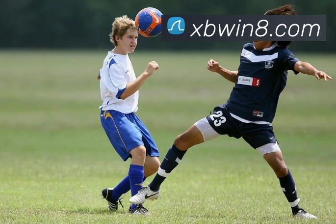 新币娱乐官网平台生态图